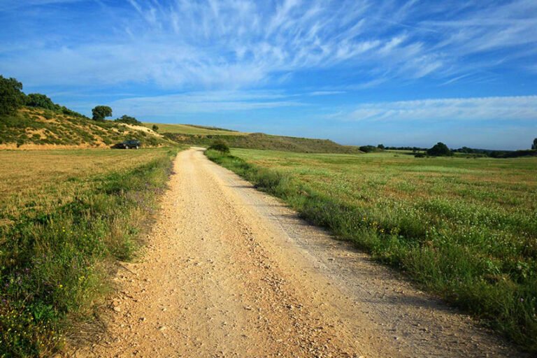 Vía Verde del Tarazonica: ruta de Tudela a Tarazona
